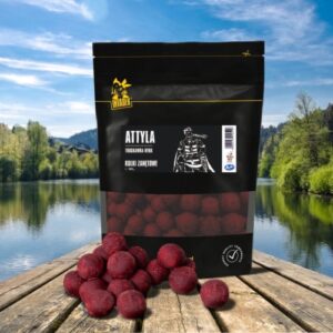 Invader kulki zan Atylla 1kg 14mm